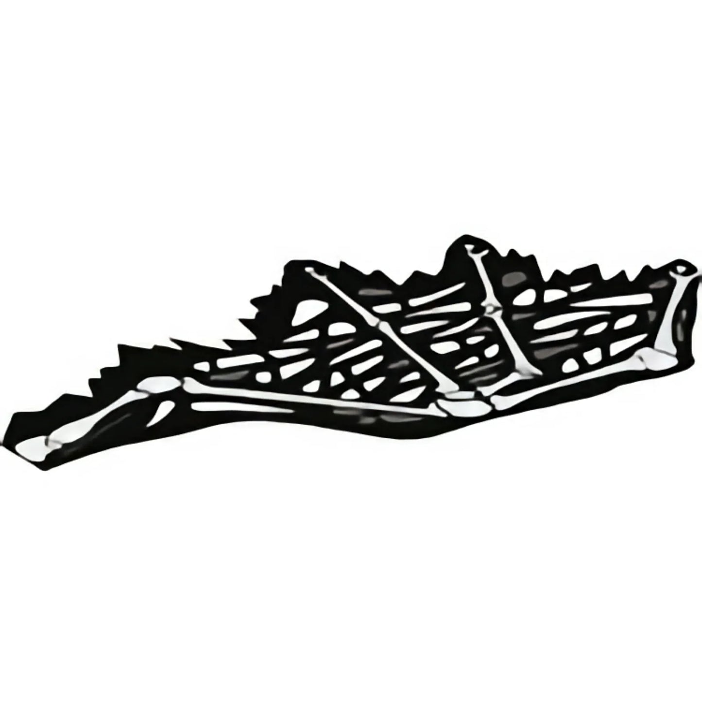 Part 69657 - Cloth Wing Dragon Left, Tattered with Bones, Black Skin, and Dark Bluish Gray Spots Pattern