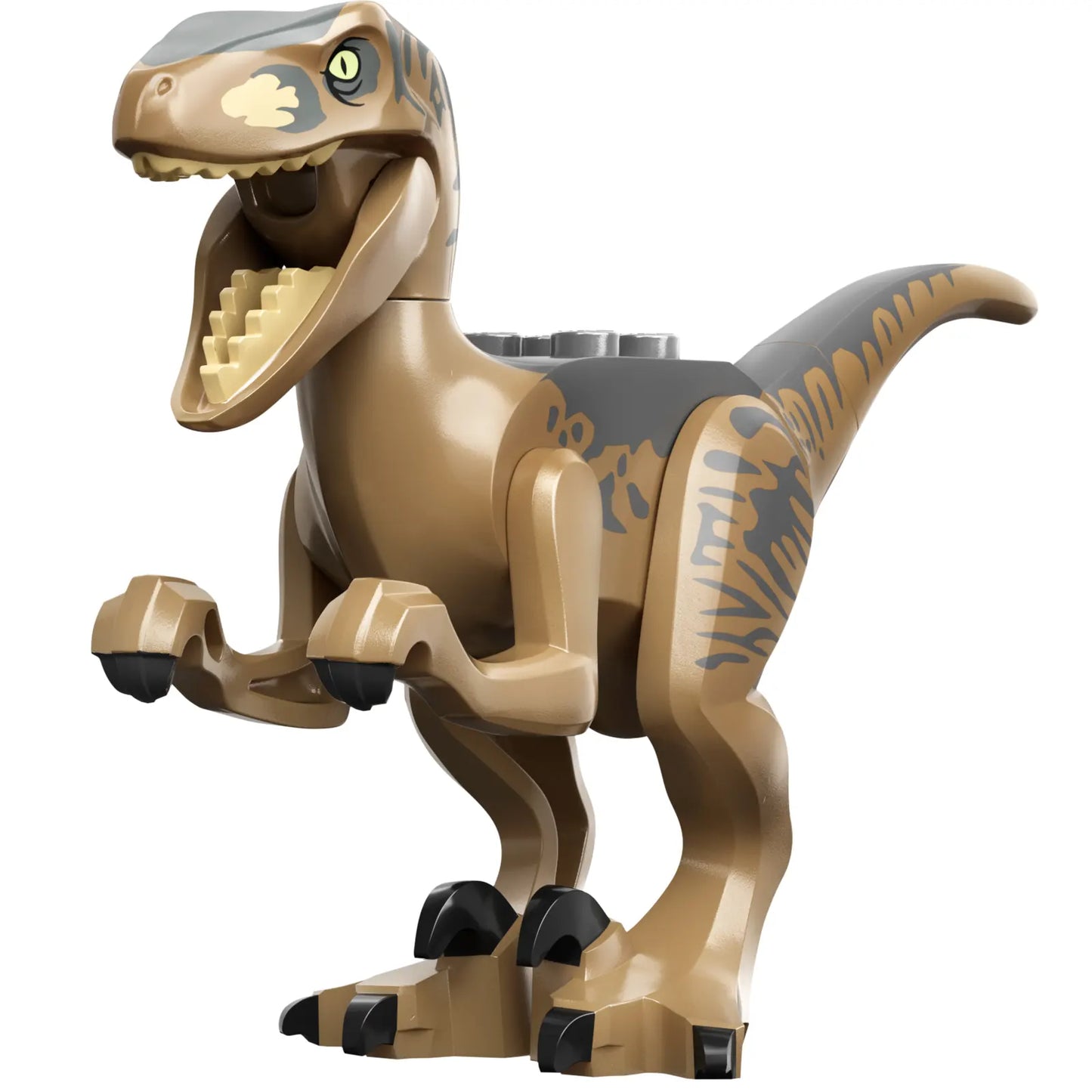 Part Raptor15 - Dinosaur Raptor / Velociraptor with Dark Bluish Gray Back