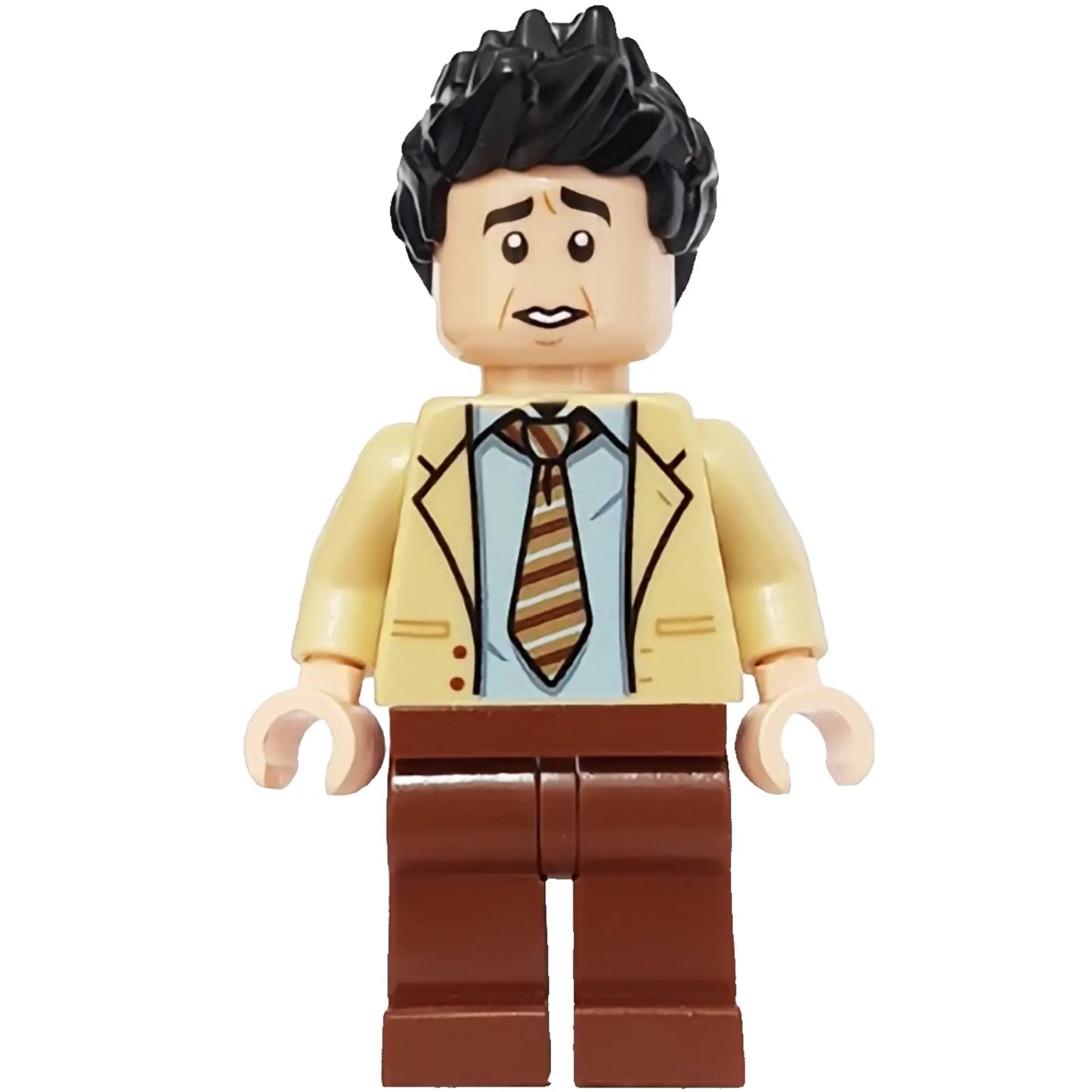 Minifig idea056 - Ross Geller