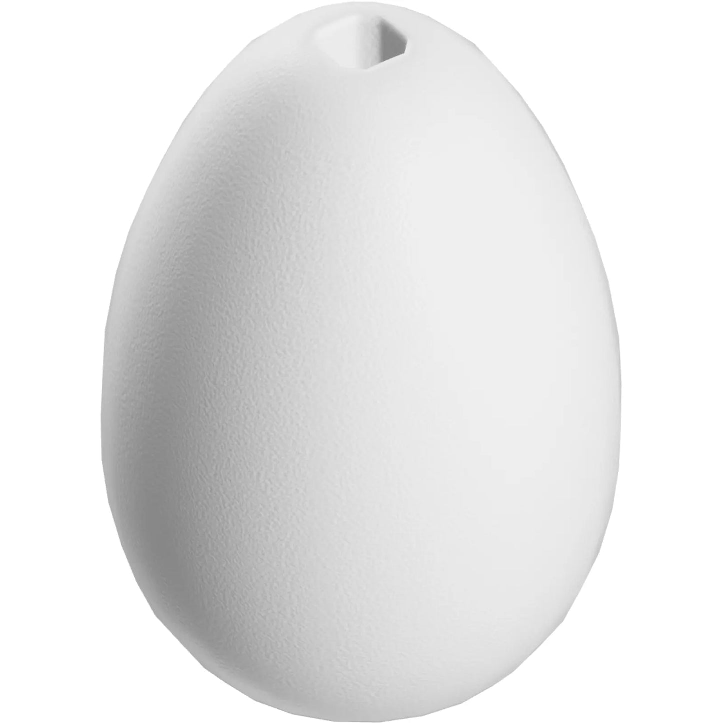 Part 24946 - Egg with Small Pin Hole