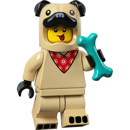 Set 71029 - Minifigure, Series 21 (Complete Random Set of 1 Minifigure)