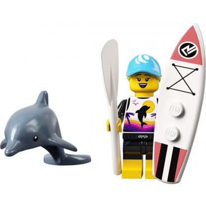 Set 71029 - Minifigure, Series 21 (Complete Random Set of 1 Minifigure)