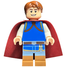 Minifig dis135 - Prince Florian