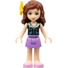 Minifig Frnd119