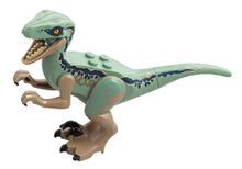 Part Raptor09 - Dinosaur Raptor / Velociraptor with Sand Green Back (Jurassic World Blue)